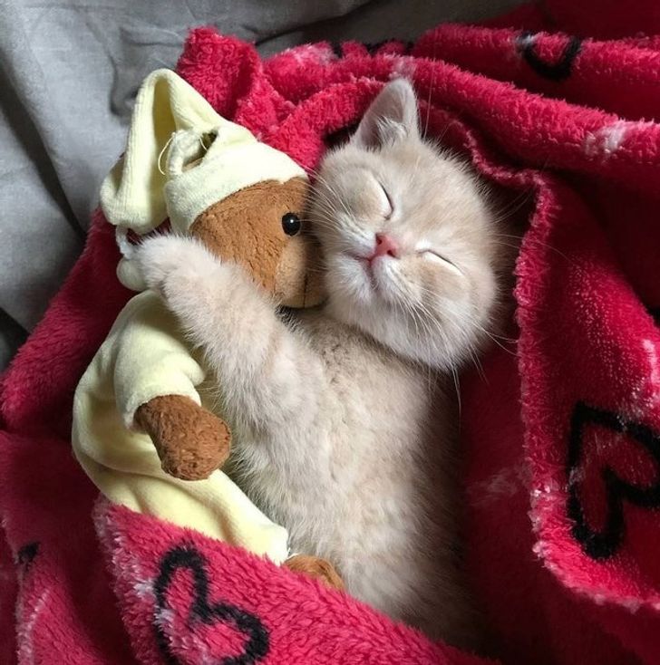 b3bd0c5dfcb5d5602495de144b