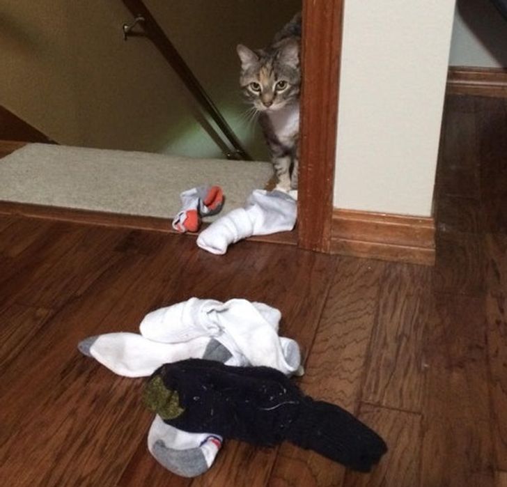 b3be5c5f7e9a7fbfb72b54c533