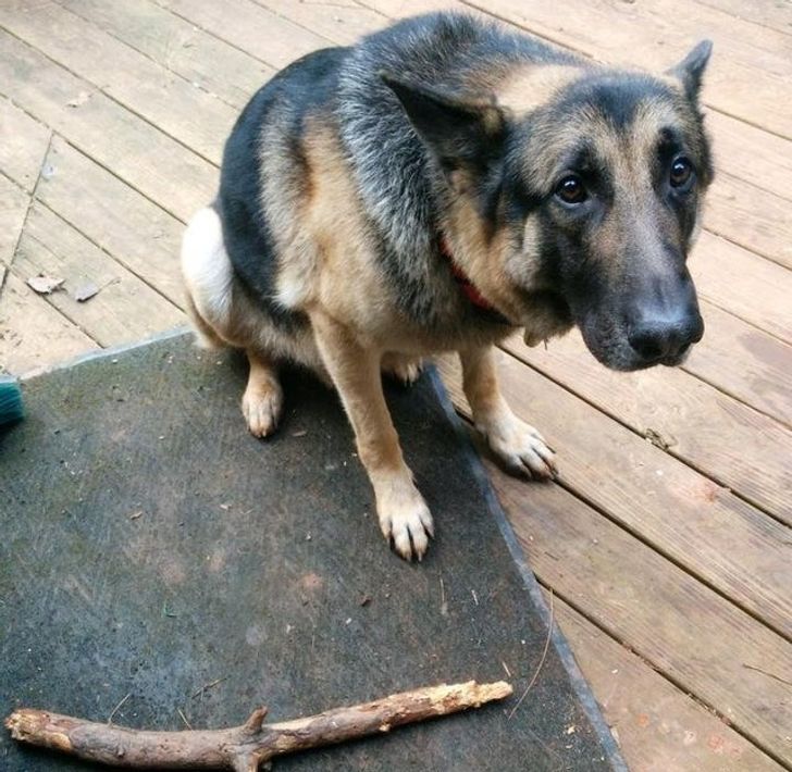 b3c19f5d9188cb8df595c7226c