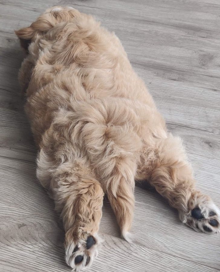 b3c8a25fe1b2c58af6131b927d