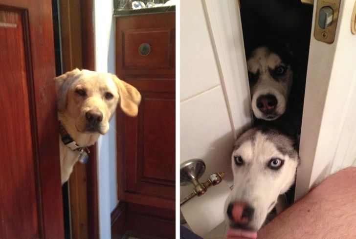 b3cb9a5c5aa45363f1ccc3e90e