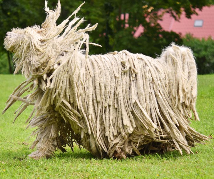 b3cb9f5dc5944b08817e747ced