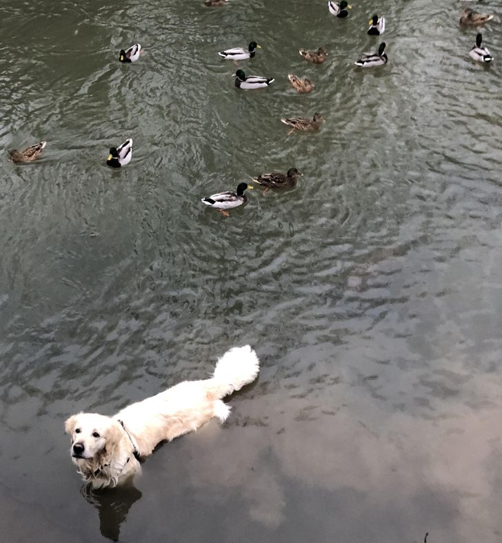 b3cc185c7a906b40094fddbd5c