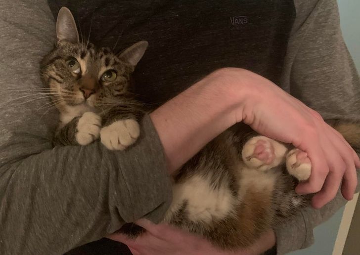 b3d4865a6ab5c0a63b4946b957