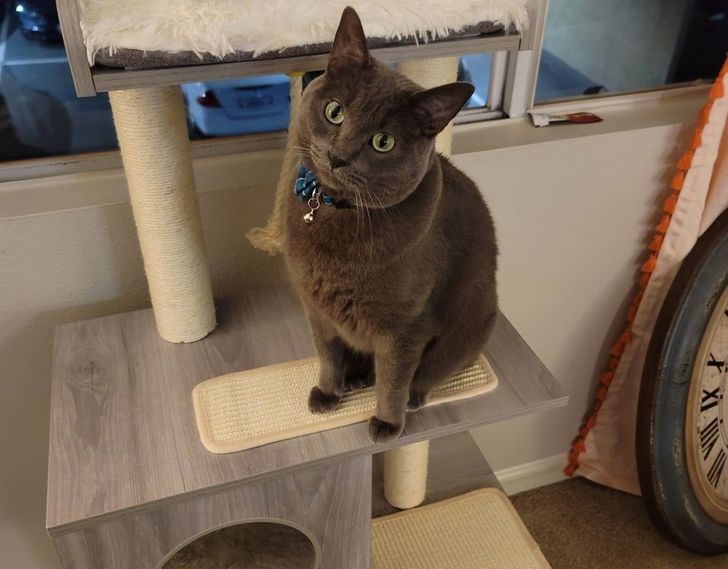 b3ddf05d719c456d81bf658847