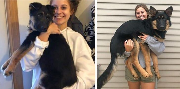 b3ec5a5b9c98027c6452462940