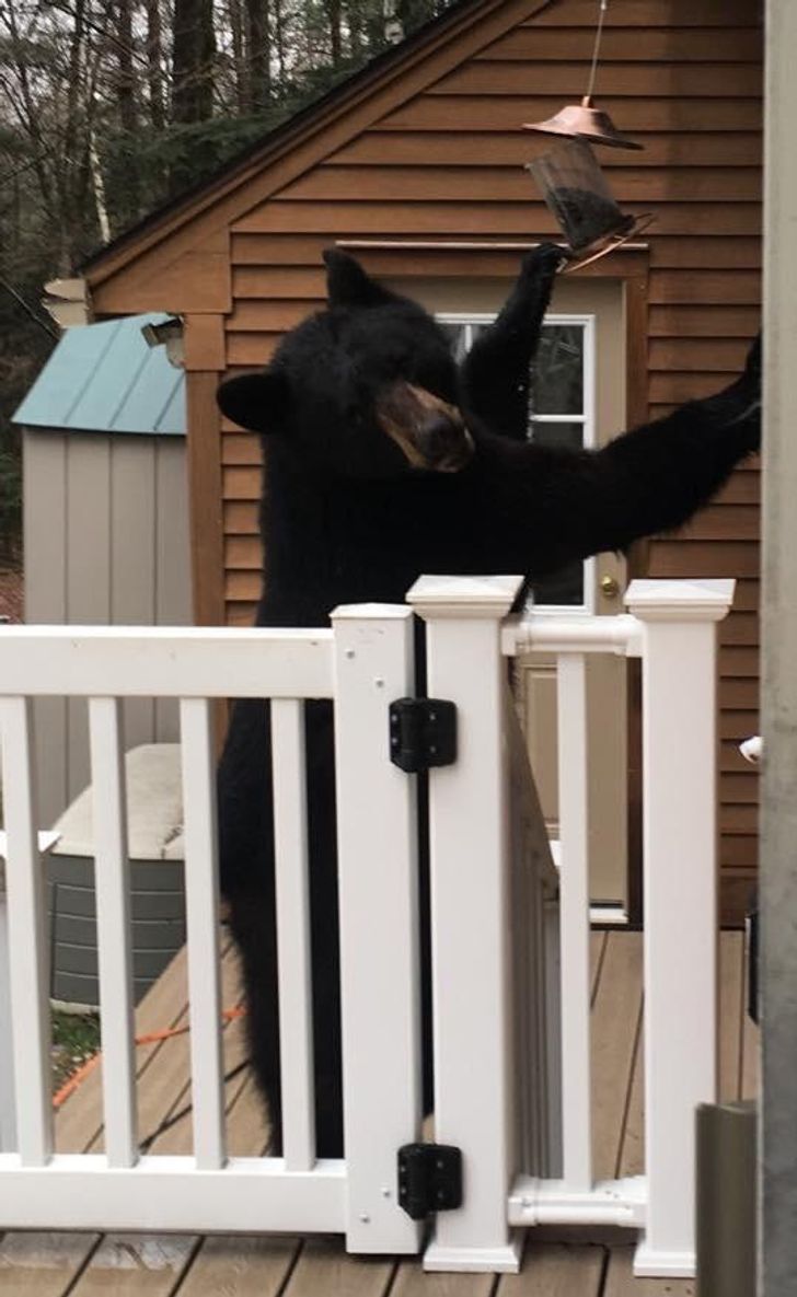 b3f6bc522a88ba352ca7512f9d