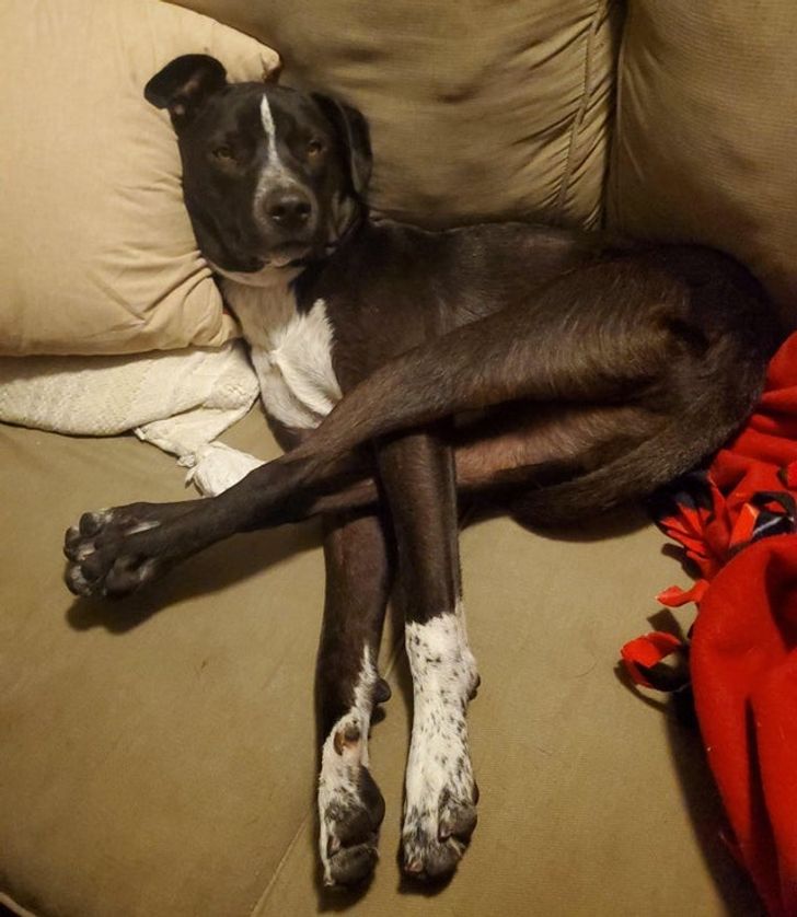 b403ee56239bee060cb1502113