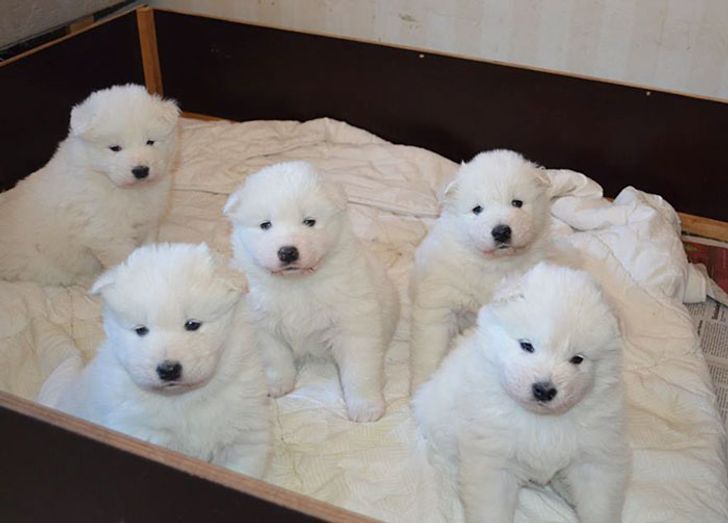 b4043557b2b65ea1c170d162e5