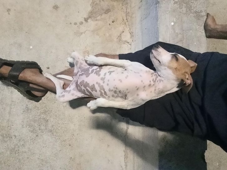 b406565b91983e965944e16c34