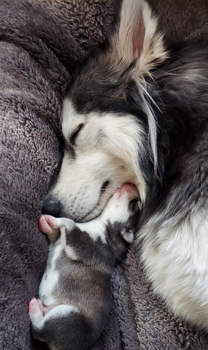 b407535722b6e231628984e32c