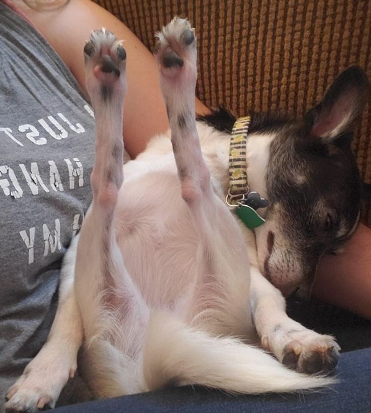 b40cc253dabaecd64814853d2a