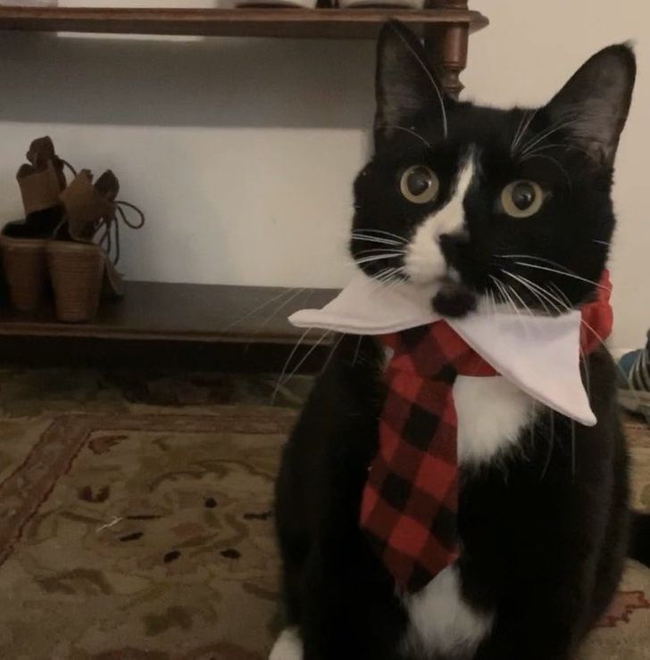 b40d5d5290a266133318514cc8