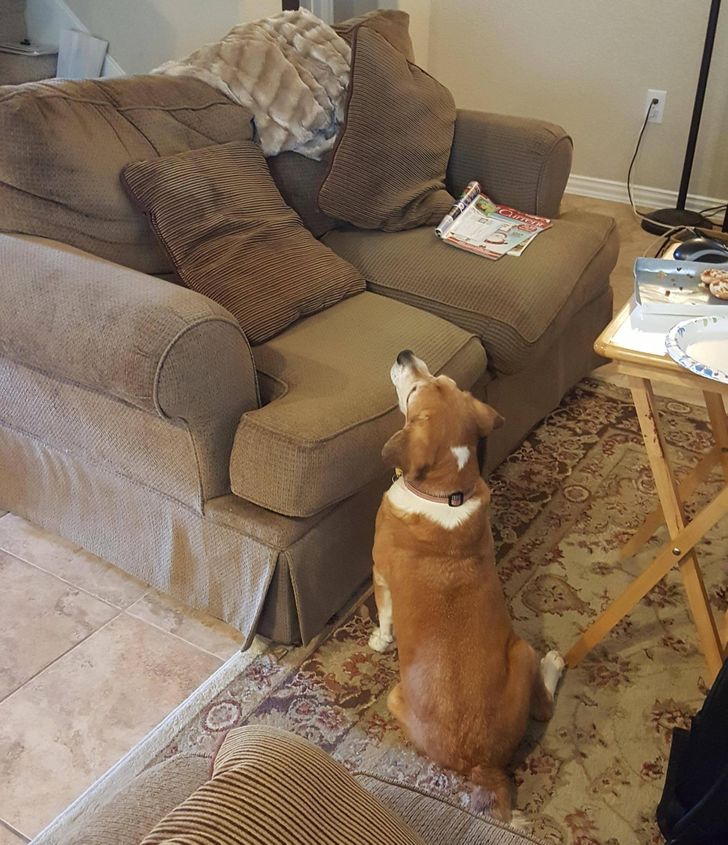 b40d6852eaa4db31e38426b7ea