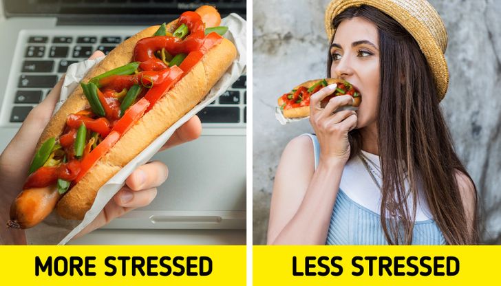 b40f6a5933811e080c39462438