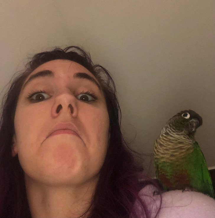 b40fc353d896b4db6995c0f8c6 b40fc353d896b4db6995c0f8c6