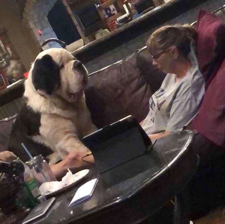 b411285b8d8cd3bd1438a3e67a