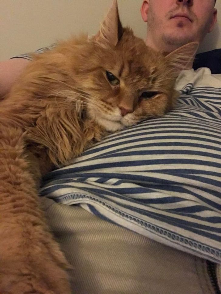 b415ed585892e69bc774806b4f b415ed585892e69bc774806b4f