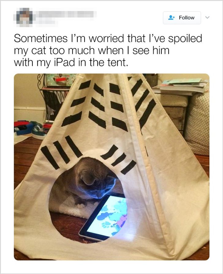 b41c7c5f75a56a05bff2af8066