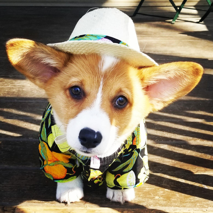 b420e55ef68e0d1fa3ce3e4c5b