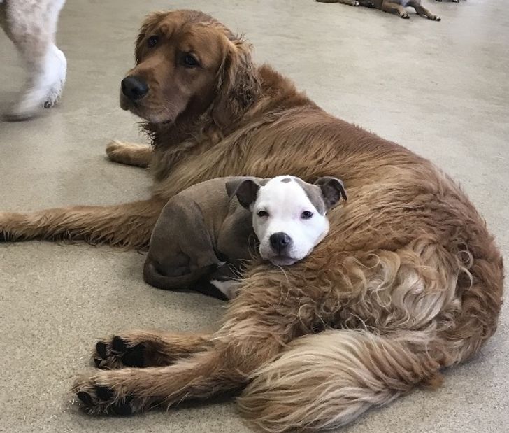 b423295904936ab31b0eb50fbb