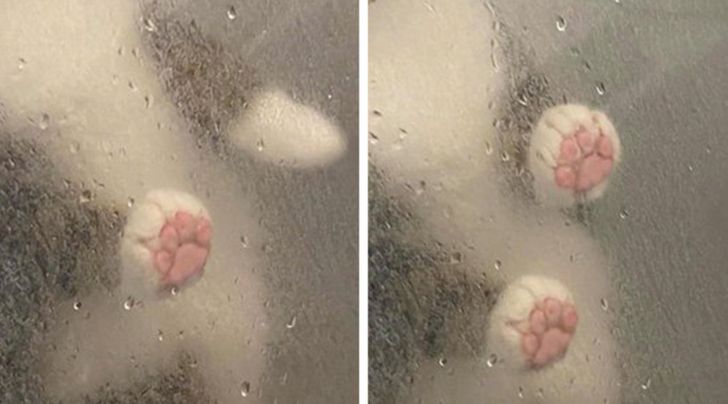 b4274e580bb2fac04ee811f4a0