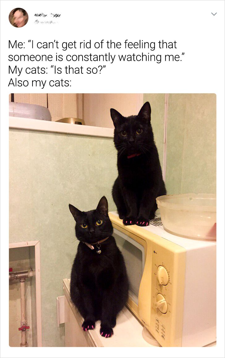 b4283a52f5b76671cdb81851cc