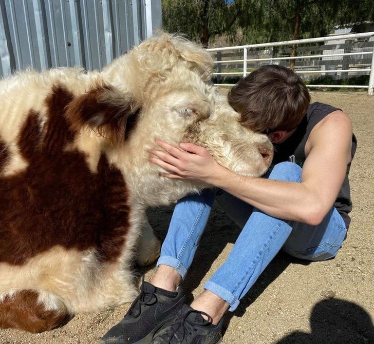 b42d4b58d1928b3de4f24ec6e8