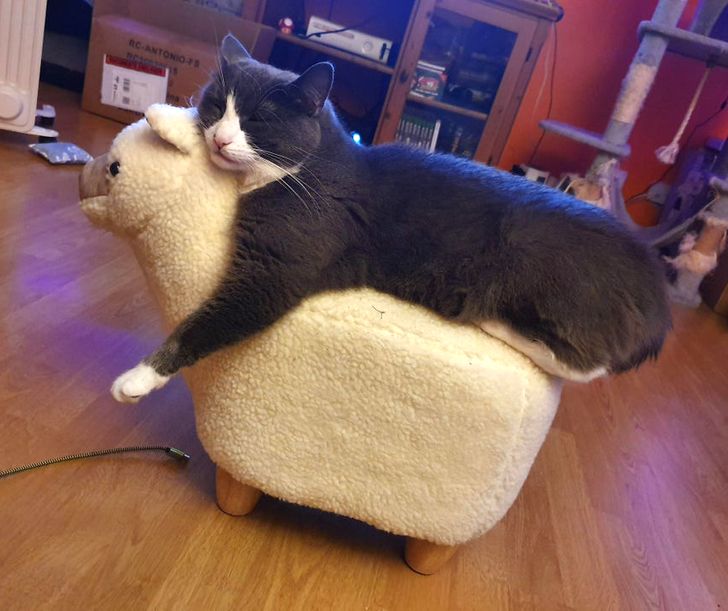 b434285c3d8c4d561056678f7a