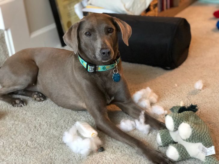 b444a85ea69b25590c510643e9