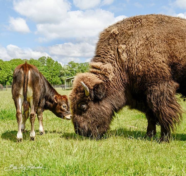 b44b75565394693ce76ea08f26