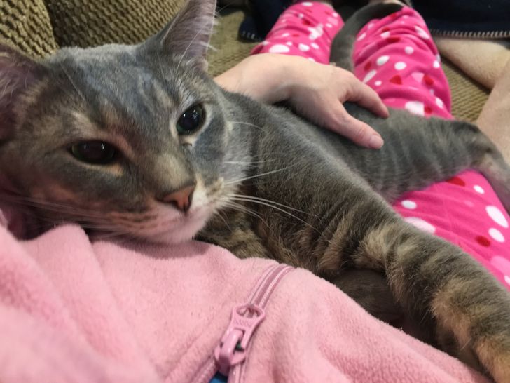 b4508e57bebe6bee910a461949