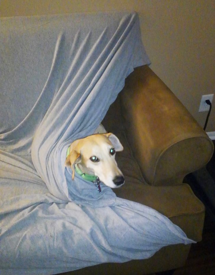 b45f0b5da780f12513fecb7dc8