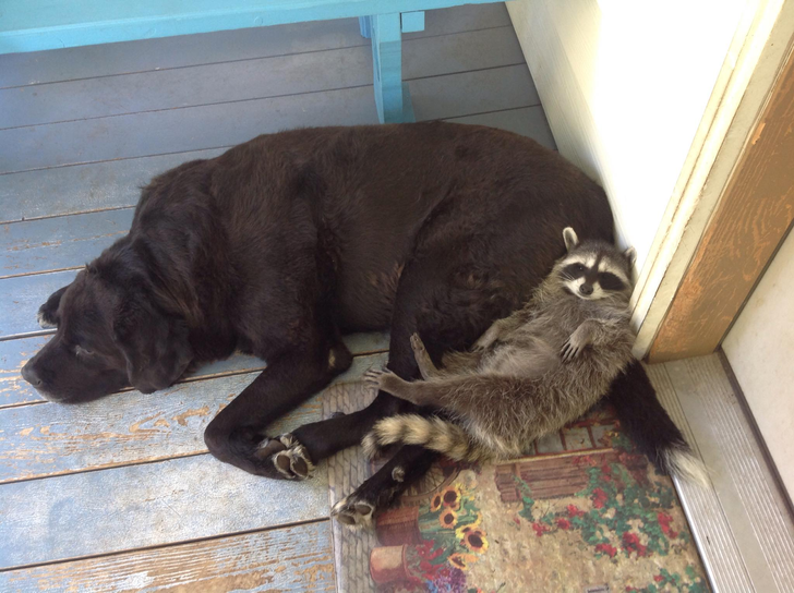 b462c15a9bafa02e40cf9a37d4