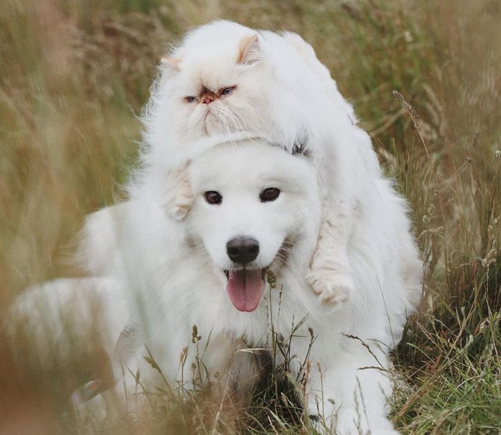 b4678e57889cf894b6a9143879