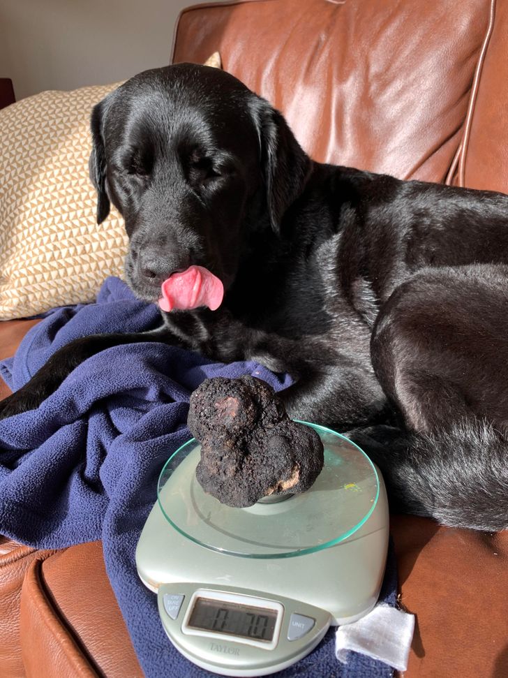 b467f4504ca896cb2f629bbe9f