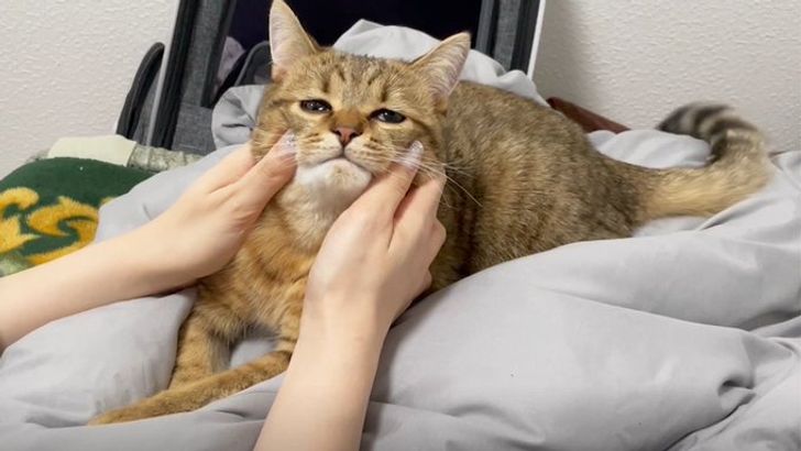 b46e27539bbc87d7e0a91cb019