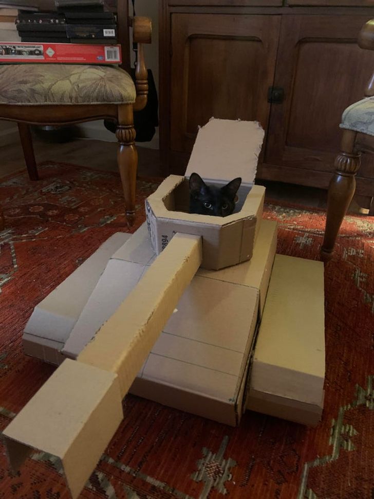 b46f7d51c187f50242b12a0091