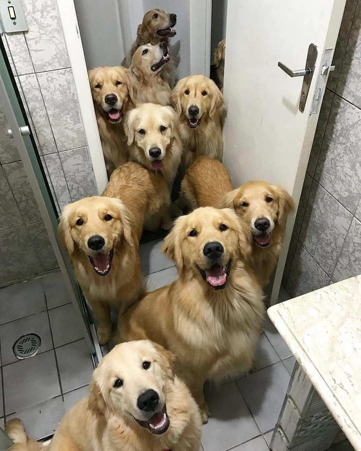 b4709b5f7e98a1d48e81a1251f