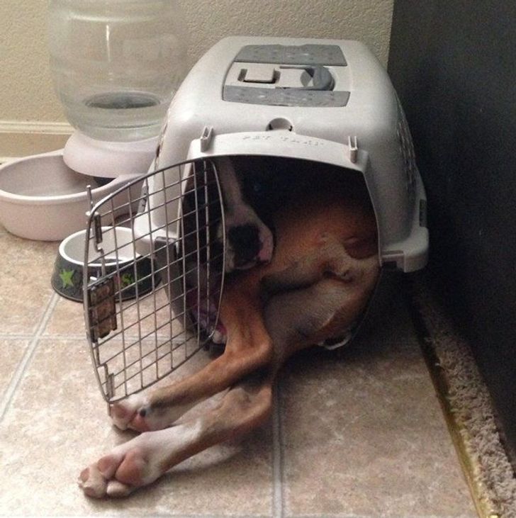 b475c65496b21af2086a89e395