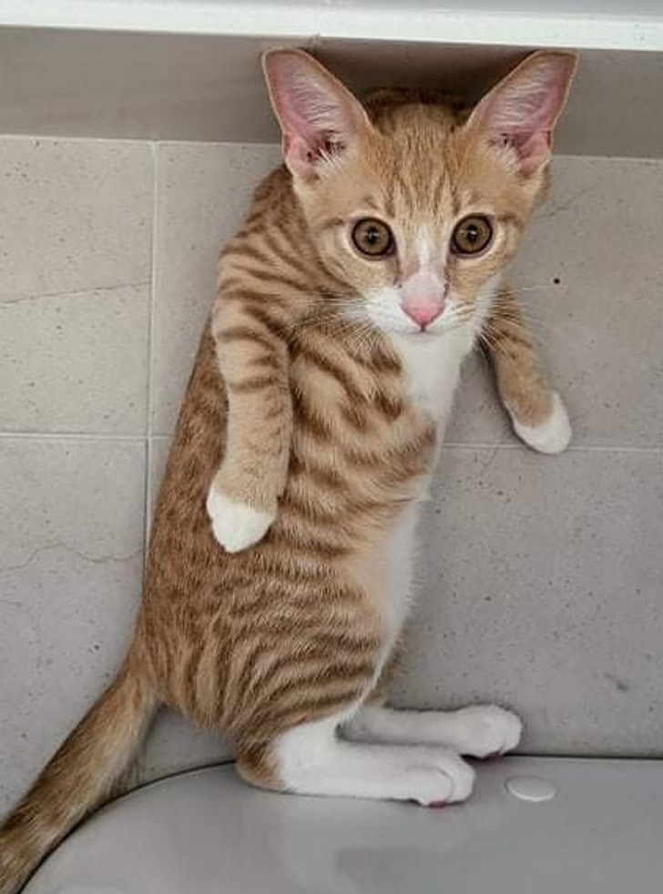 b47b4355a989c68ab1aeb666f5 b47b4355a989c68ab1aeb666f5