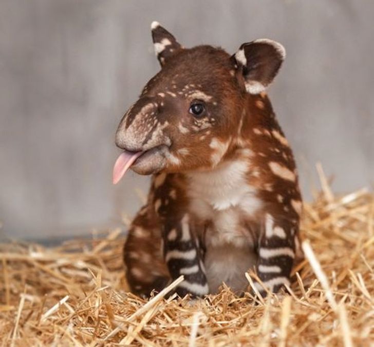 b48441587090f629465c70e345