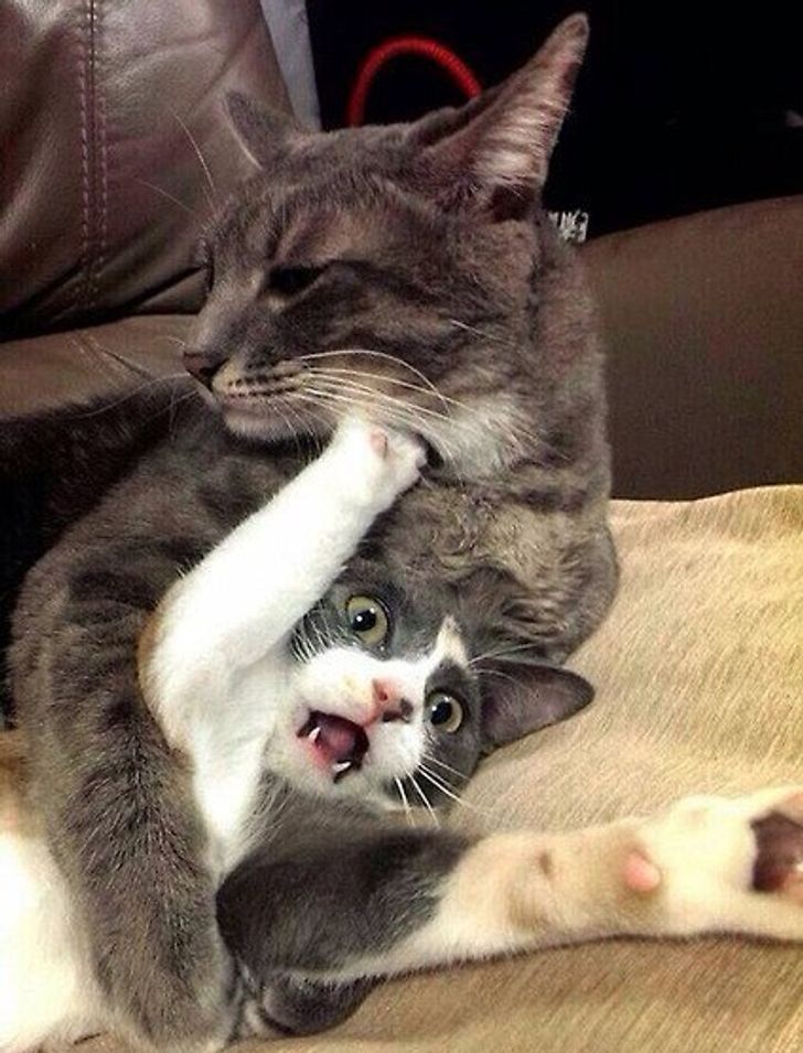 b493695656a6206516aa8565b8 b493695656a6206516aa8565b8