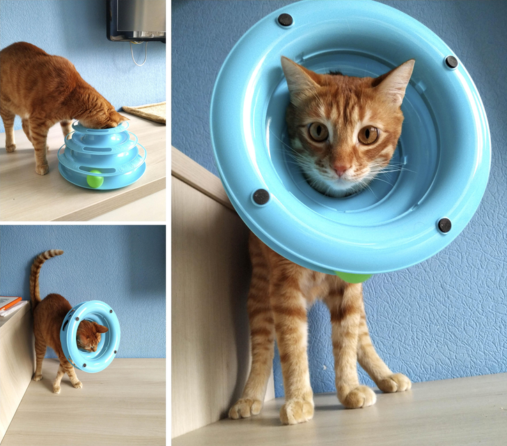 b493865c4785abad7df55245e1