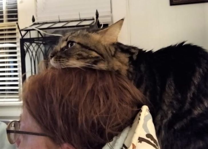 b4abcd5f8883bacee3c8026090