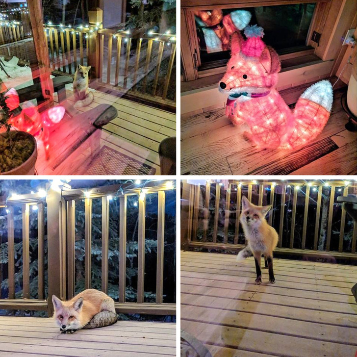 b4b4c3529fa40a77e622f57246