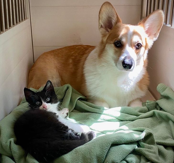 b4b53456729a303d2db63cd8ea