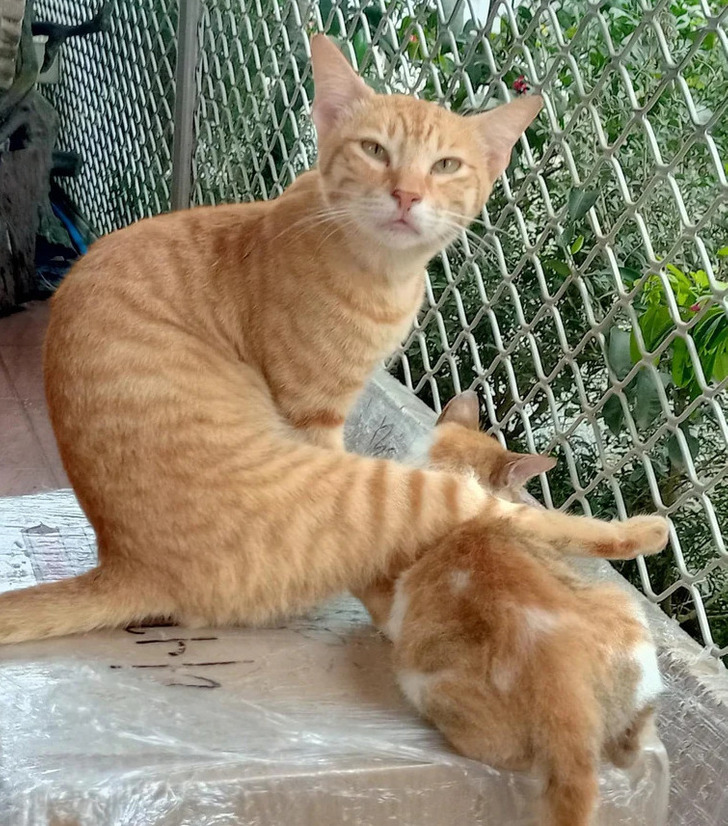 b4b8145c3fb7fad431b7cae04d b4b8145c3fb7fad431b7cae04d