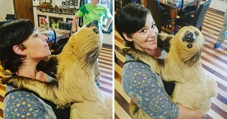 b4ba5653be99b5a865a7350536