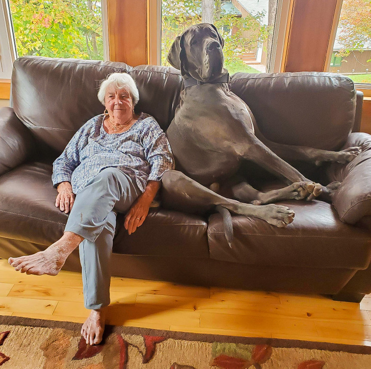 b4c08e51cda3086a8dba401c50 b4c08e51cda3086a8dba401c50